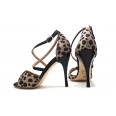 Comme il Faut - Dalmata Beige