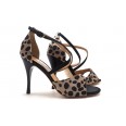 Comme il Faut - Dalmata Beige